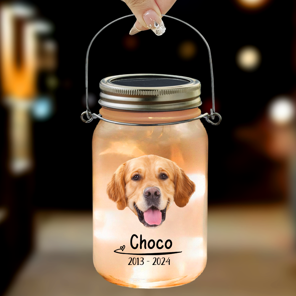 Custom Photo You Would Have Lived Forever Memorial Mason Jar Light LM32 893161