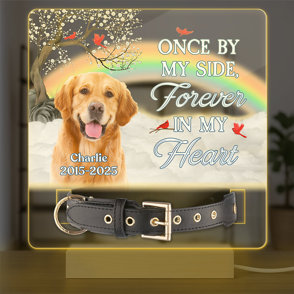One By My Side Forever In My Heart Custom Dog Cat Memorial Photo Acrylic Collar Frame CH07 896088