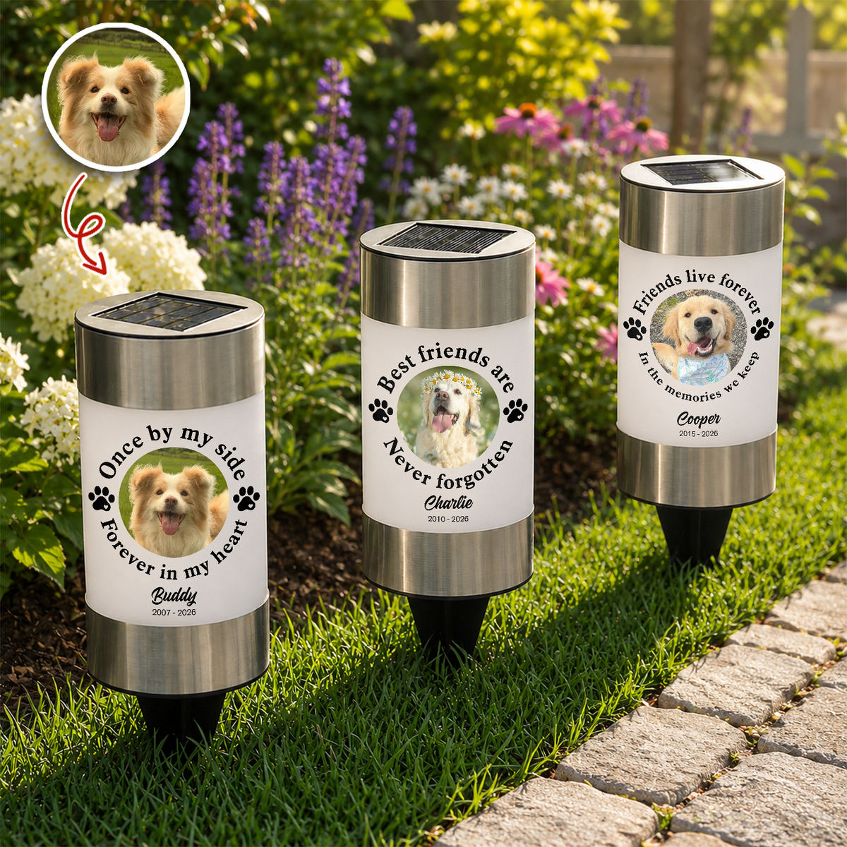 Custom Photo You Would Have Lived Forever - Memorial Personalized Solar Garden Light HA75 921754