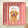 Custom Cartoon Pet Photo Vintage Jewelry Dish Gift For Pet Lovers LM32 669739