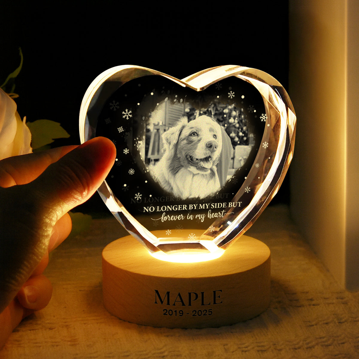 Custom Photo Forever Loved Memorial Dog Cat Engraved Crystal Photo With Light HA75 898214