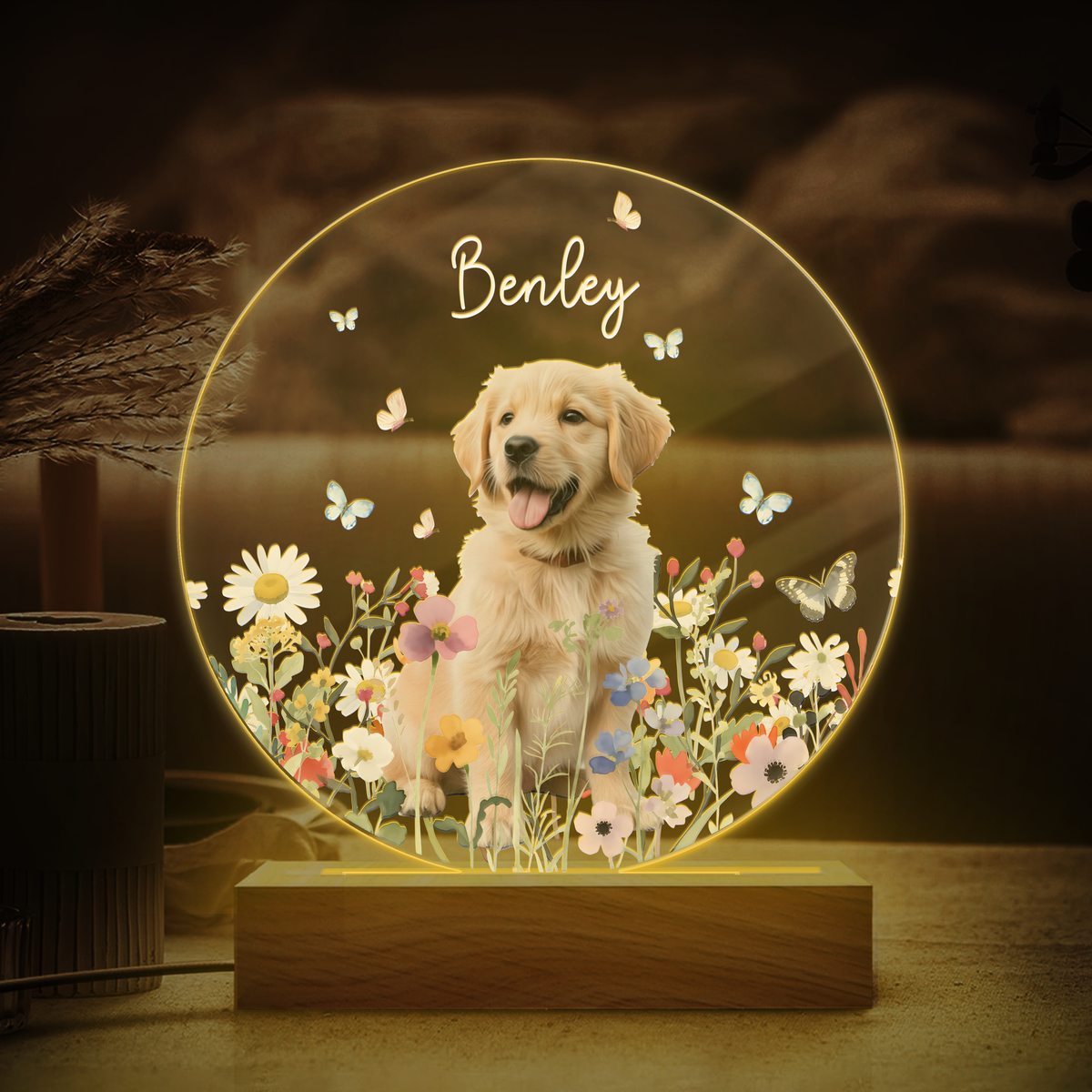 Custom Pet Portrait Photo LED Night Light Gift For Pet Memorial TH10 894487