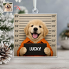 Custom Pet Mugshot Photo Acrylic Ornament Funny Dog Cat Lover Christmas Gift HO82 903318