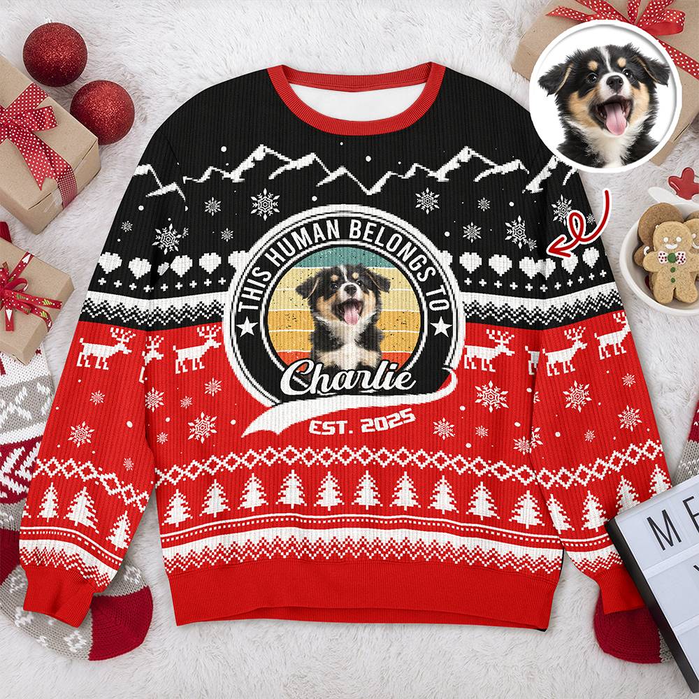 Custom Photo Human Belongs Dog Ugly Sweater For Pet Lovers HO82 900020