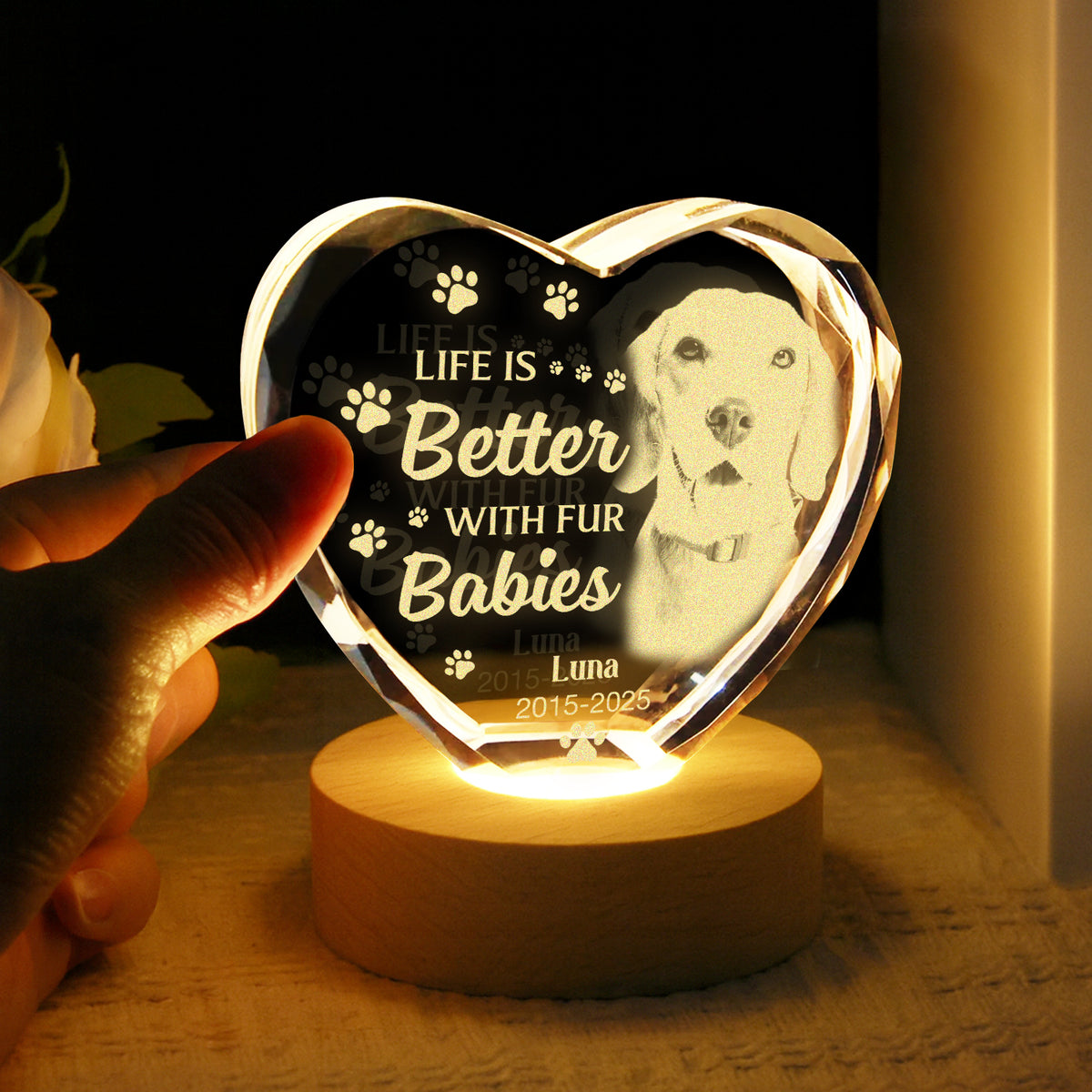 Custom Photo Dog Memorial Engraved Crystal Photo With Light TH10 898177