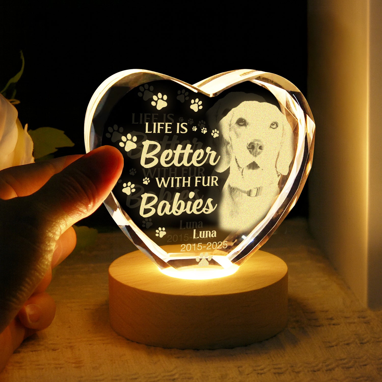 Custom Photo Dog Memorial Engraved Crystal Photo With Light TH10 898177