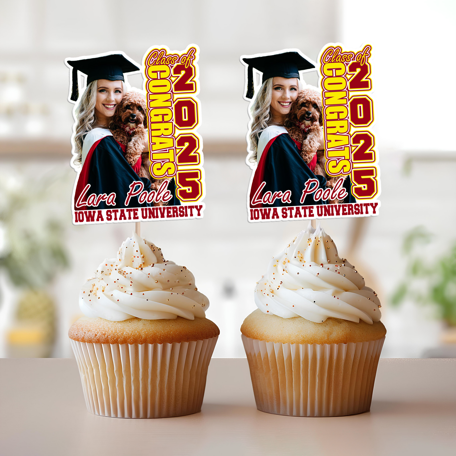 Custom Photo Class of 2025 Graduation Decoration Cupcake Toppers CH07 895292