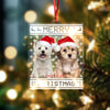 Custom Dog Cat Photo Merry Christmas Acrylic Ornament CH07 896618