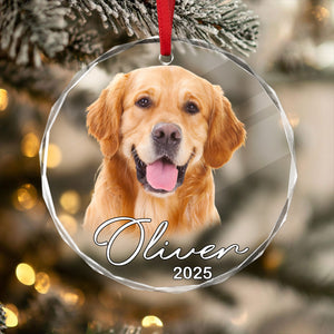Custom Pet Photo Christmas Glass Ornament Gift For Pet Lovers TH10 894775