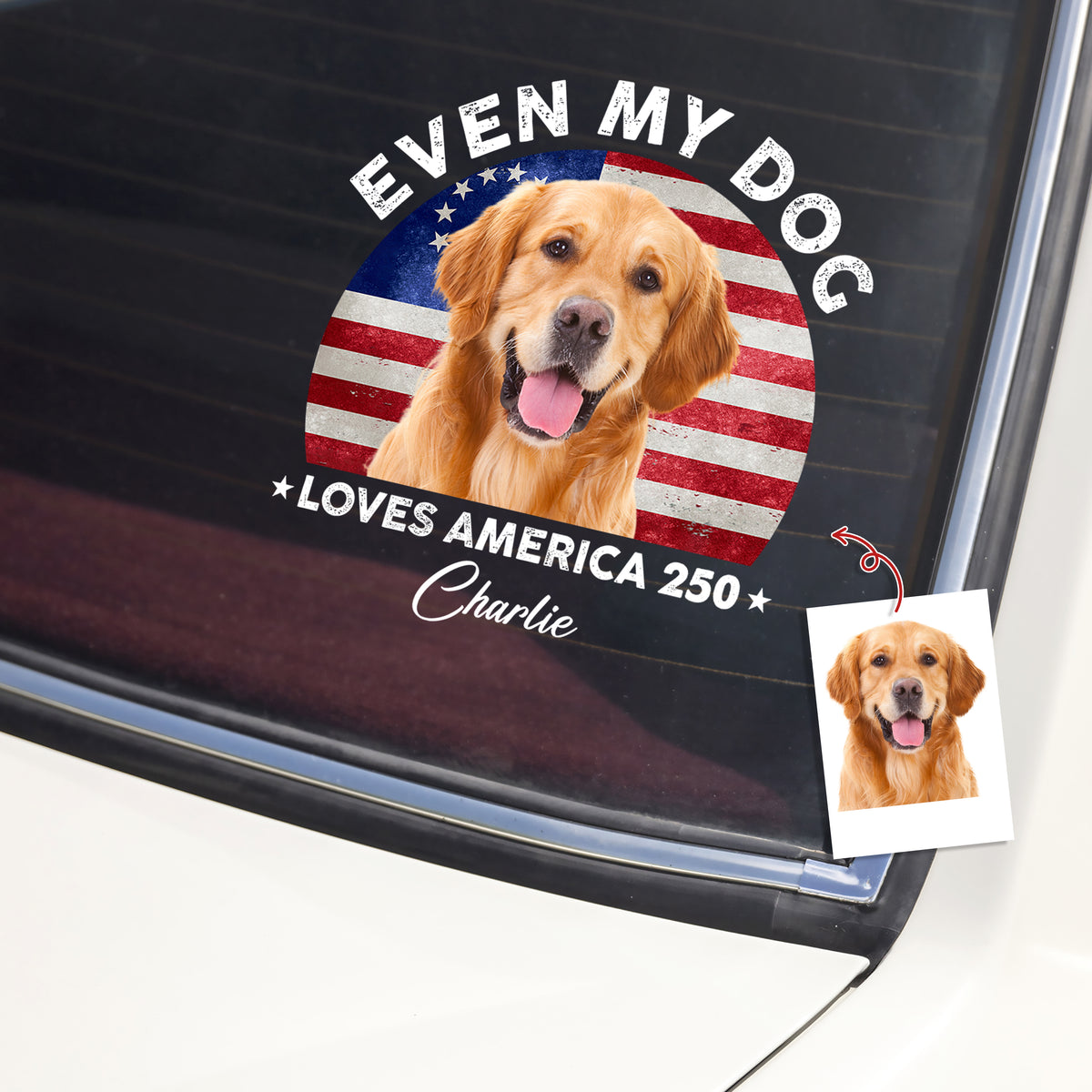 Custom Photo Even My Dogs Love America 250 Sticker HO82 900450