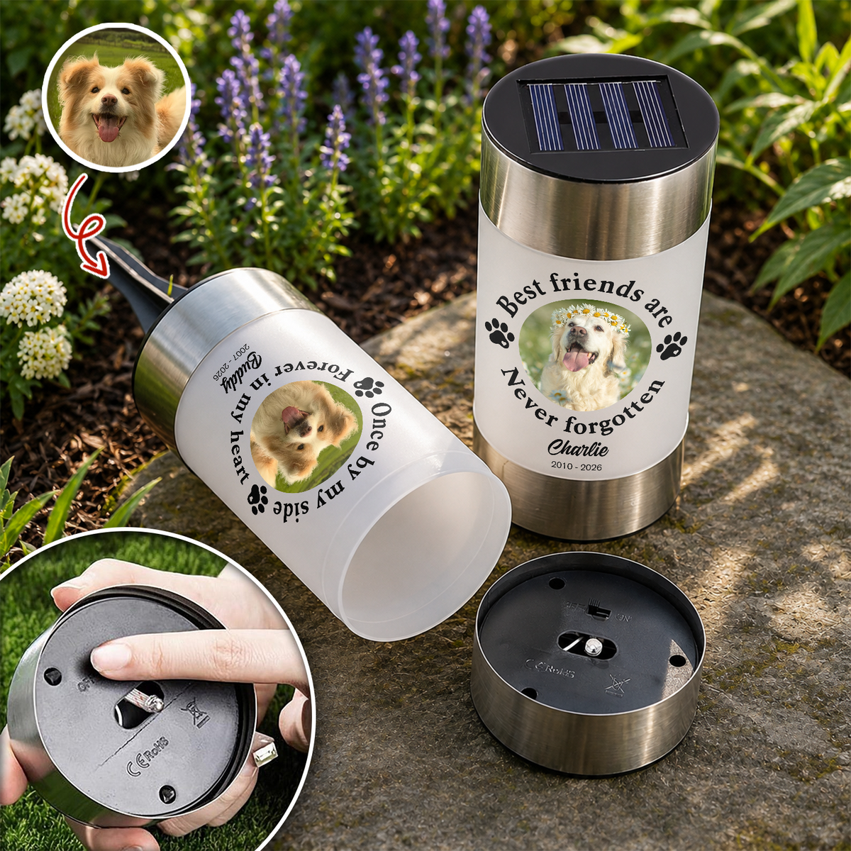 Custom Photo You Would Have Lived Forever - Memorial Personalized Solar Garden Light HA75 921754