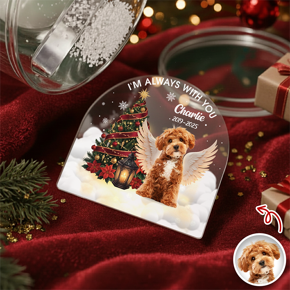 Custom Photo I Am Always With You Memorial Dog Acrylic Snow Globe HA75 898022