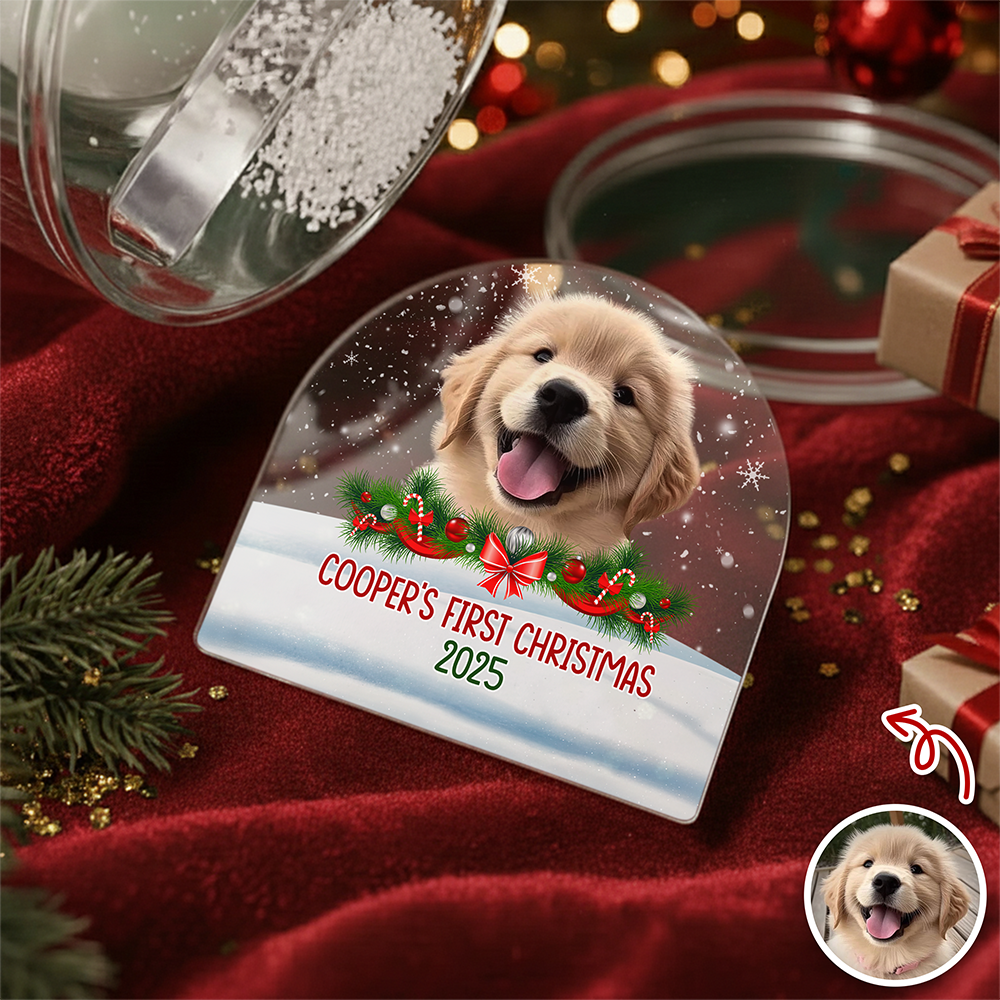 Custom Photo Dog First Christmas Acrylic Snow Globe HA75 898112
