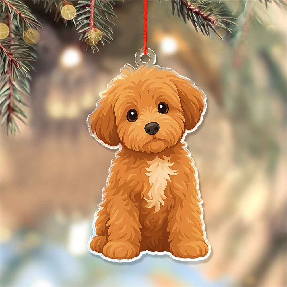 Custom Dog Cat Cartoon Photo Decor Acrylic Ornament LM32 893807