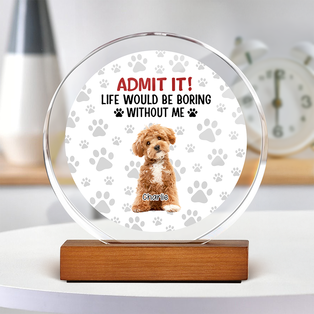 Custom Dog Cat Photo Life Would Be Boring Without Me Round Acrylic Frame Block TH10 894061