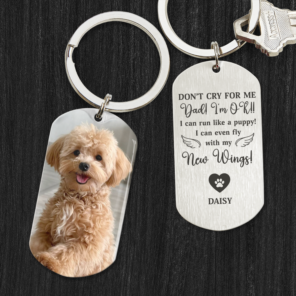 Custom Photo Don't Cry For Me - Memorial Metal Keychain Sympathy Gift, Gift For Pet Owners, Pet Lovers HO82 894494