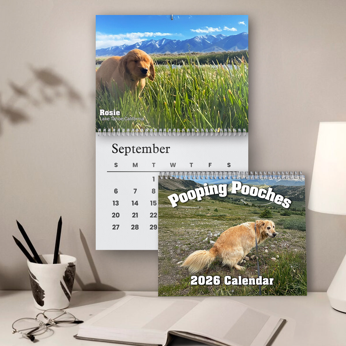 2026 Pooping Pooches Funny Dog Wall Calendar, White Elephant Gag Gift LM32 897307