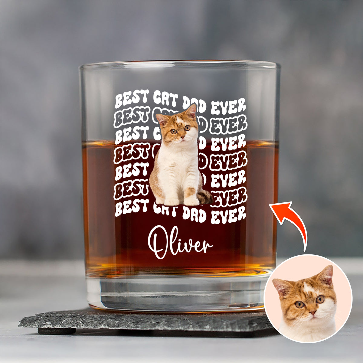 Custom Photo Best Dog Dad Ever Rock Glass - Father’s Day Gift for Dog & Cat Owners HA75 921374