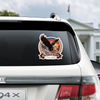 250 Years Of Freedom Car Window Decal Sticker TH10 896353