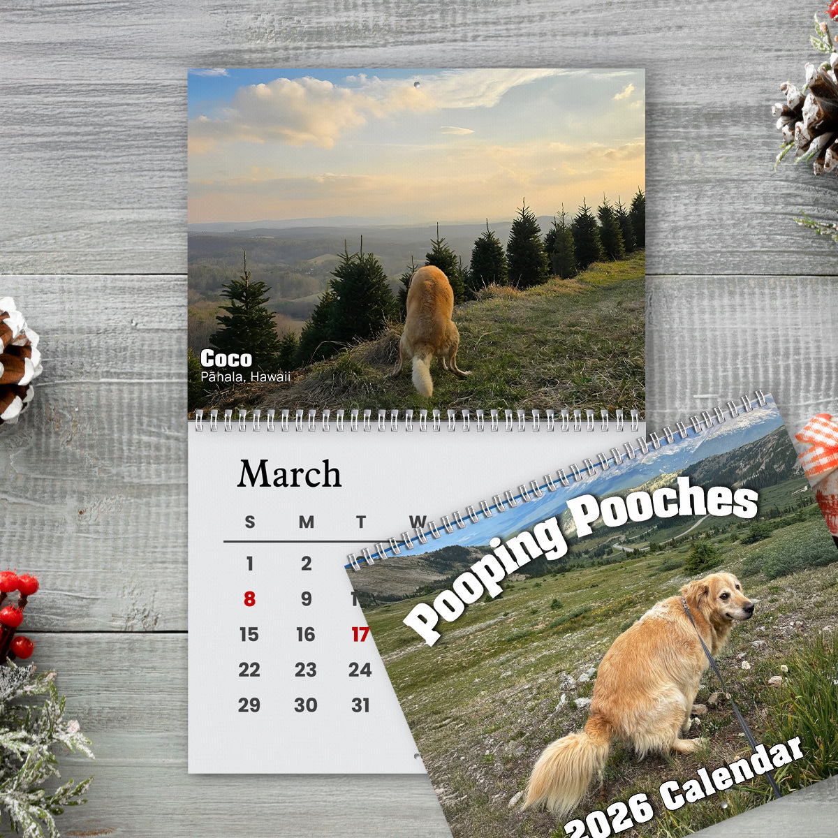 2026 Pooping Pooches Funny Dog Wall Calendar, White Elephant Gag Gift LM32 897307
