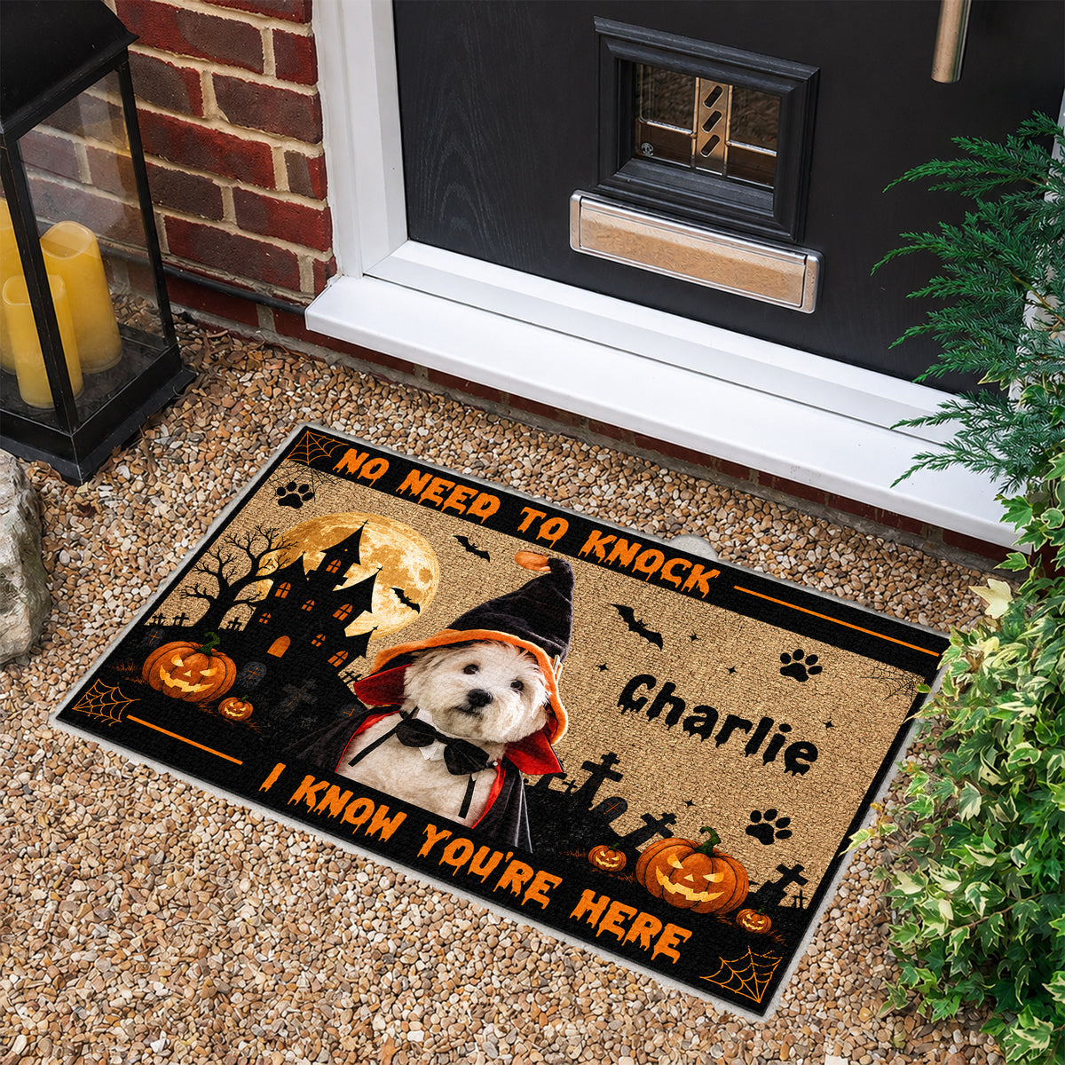 Custom Dog Cat Photo No Need To Knock We Know You're Here Halloween Doormat HO82 903222