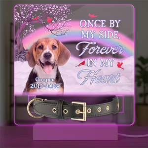 One By My Side Forever In My Heart Custom Dog Cat Memorial Photo Acrylic Collar Frame CH07 896088