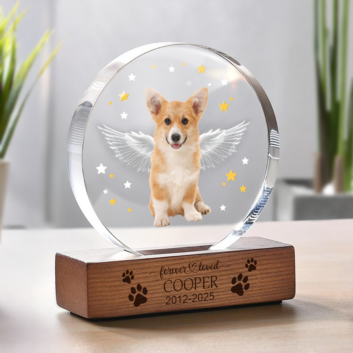 Custom Dog Photo Gift Memorial Round Acrylic Frame Block HO82 894172