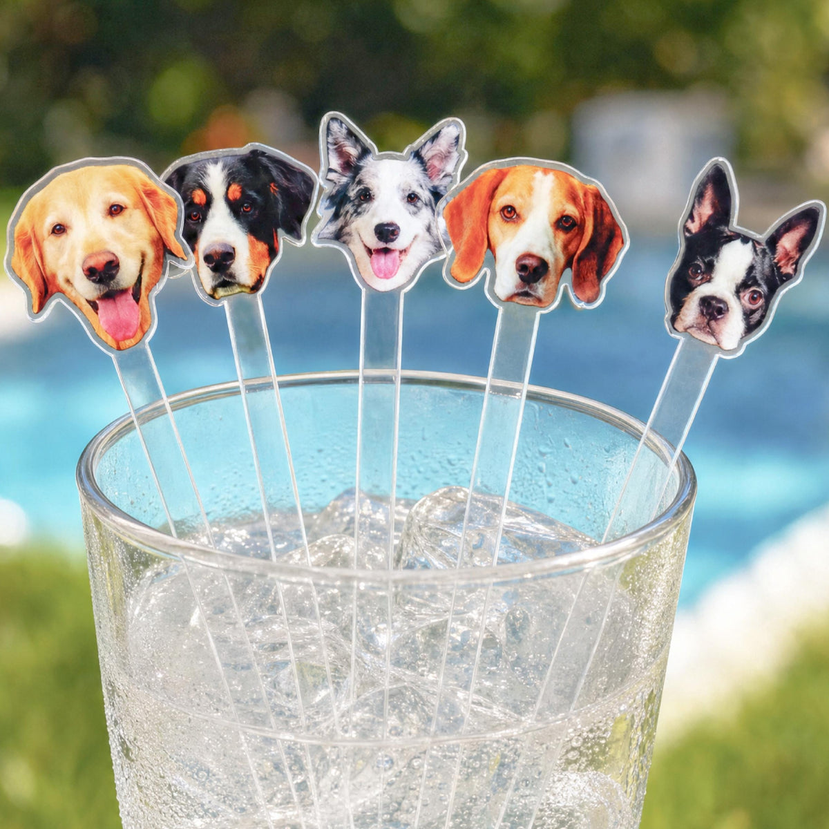 Custom Funny Dog Cat Face Cocktail Drink Stirrers Party Decoration LM32 669473
