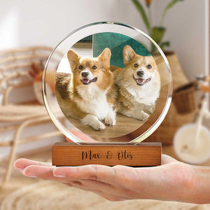 Custom Pet Photo Round Acrylic Frame Block Gift For Dog Lovers, Cat Lovers CH07 896046