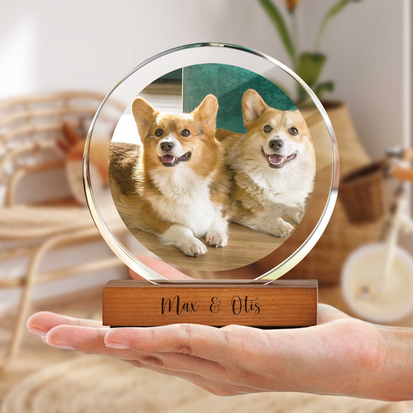 Custom Pet Photo Round Acrylic Frame Block Gift For Dog Lovers, Cat Lovers CH07 896046