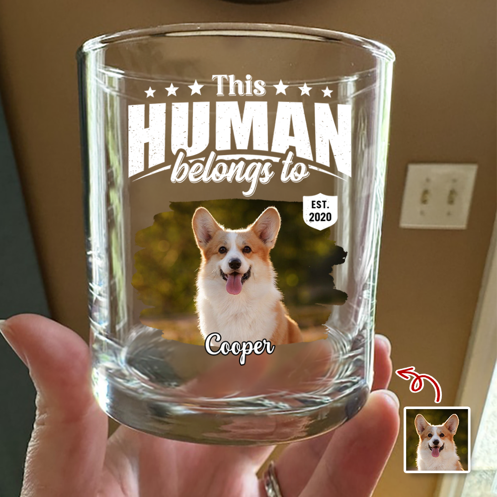 Custom Dog Cat Photo This Human Belongs To Rock Glass - Personalized Pet Lover Gift HA75 921368