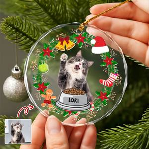 Custom Cat Photo Christmas Cirle Glass Ornament For Cat Lovers TH10 894761