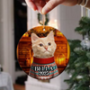 Custom Cute Cat Photo Christmas Ornament Gift For Cat Lover CH07 899408