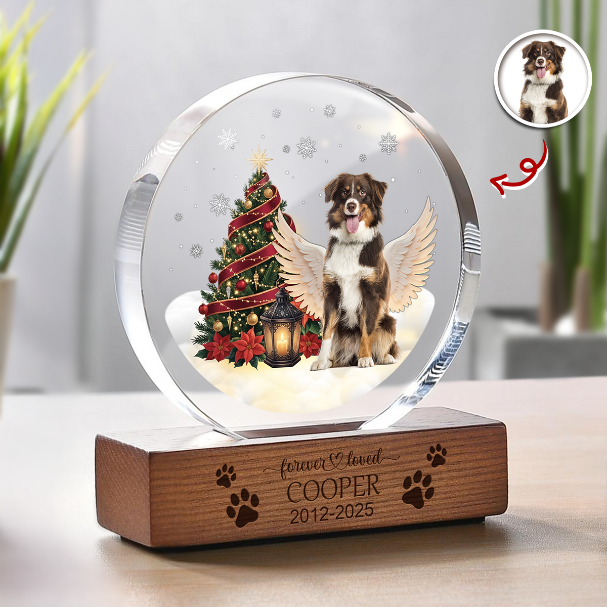 Custom Photo Forever Loved Memorial Dog Cat Round Acrylic Frame Block HA75 898008