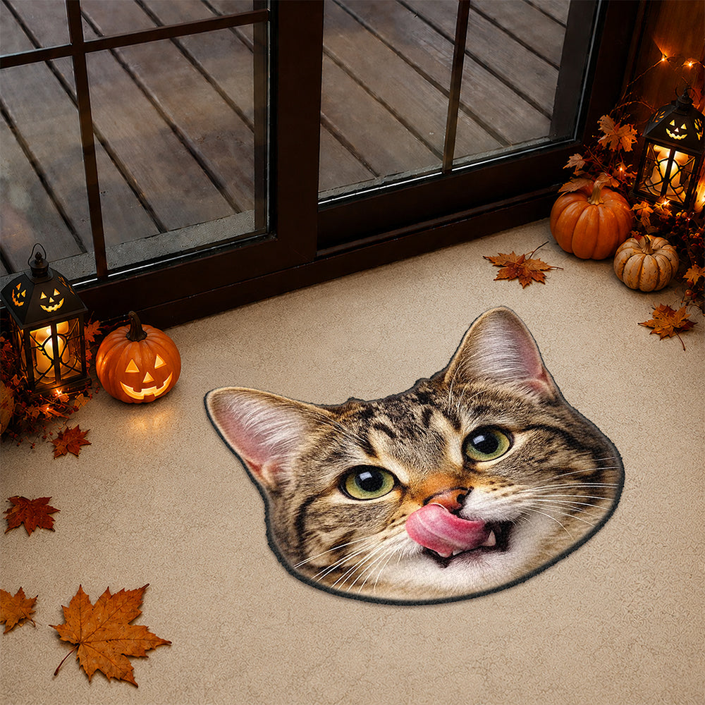 Custom Funny Face Dog Cat Doormat Custom Shape CH07 180204