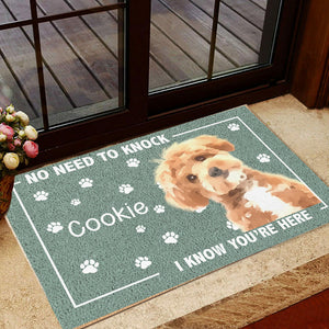 Custom Photo No Need To Knock, We Know You're Here Doormat For Dog Cat Lovers HA75 891936