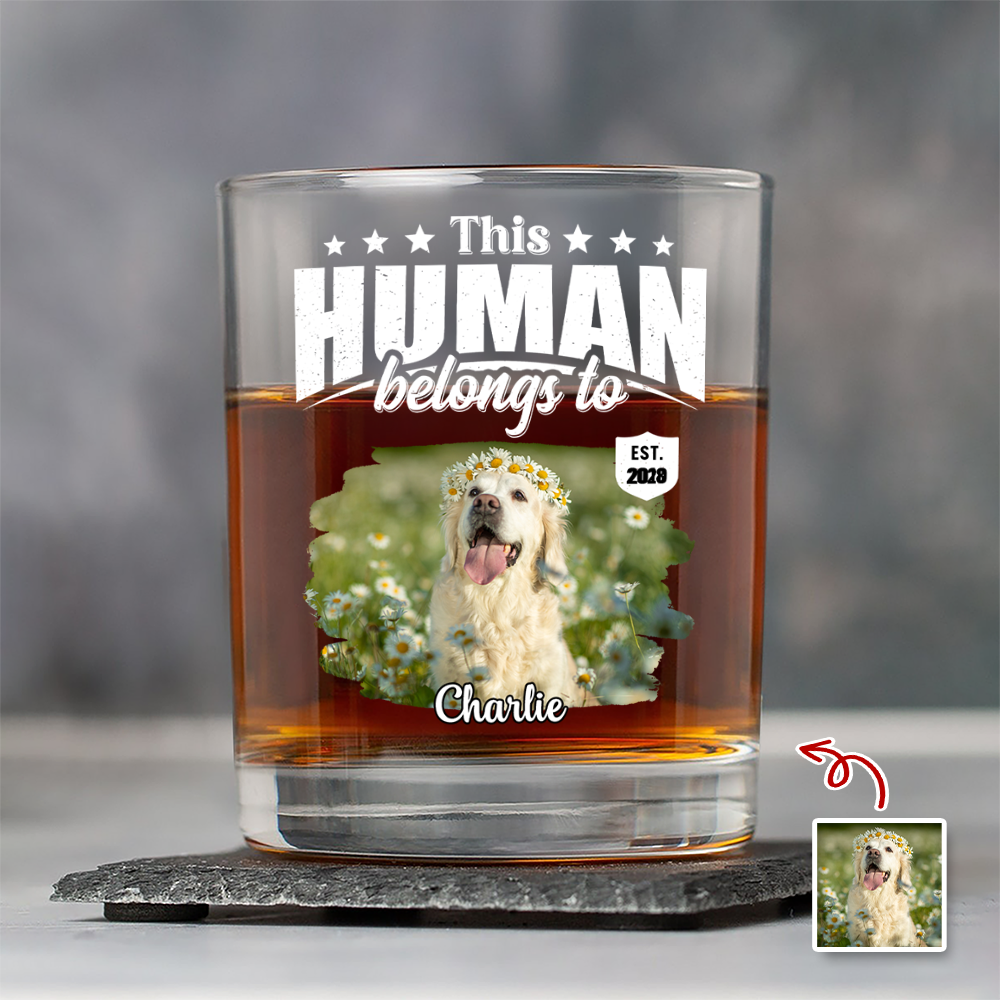 Custom Dog Cat Photo This Human Belongs To Rock Glass - Personalized Pet Lover Gift HA75 921368