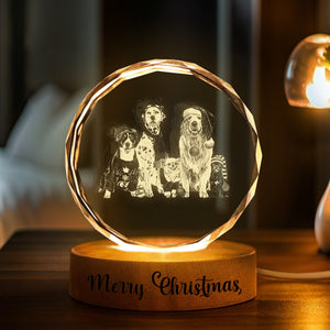 Custom Dog Cat Photo Engraved Crystal Photo With Light HA75 898202