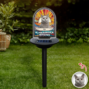 Custom Dog Cat Photo I'm Always With You Memorial Solar Light TH10 896055