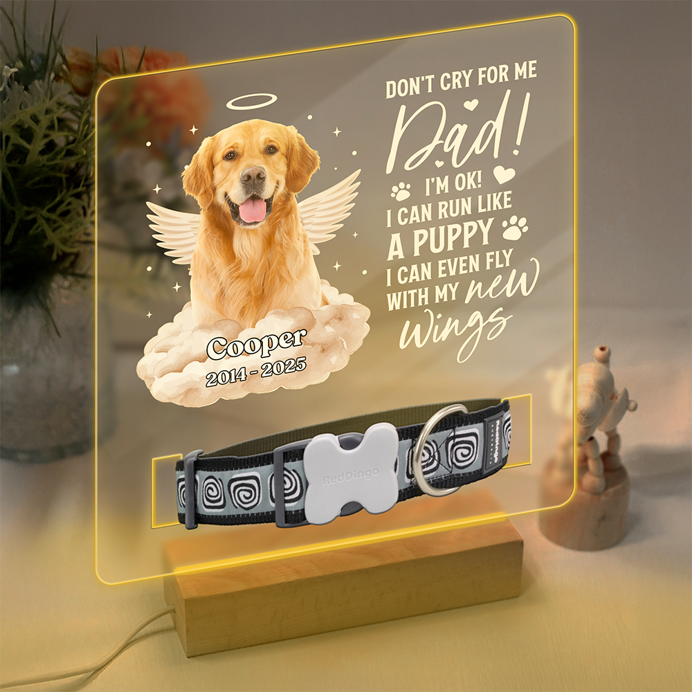 Custom Photo I Can Run Like A Puppy, I Can Even Fly With My New Wings - Memorial Personalized Acrylic Collar Frame CH07 896090