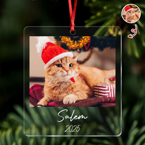 Custom Cat Photo Acrylic Ornament Christmas Gift For Cat Lovers LM32 895771