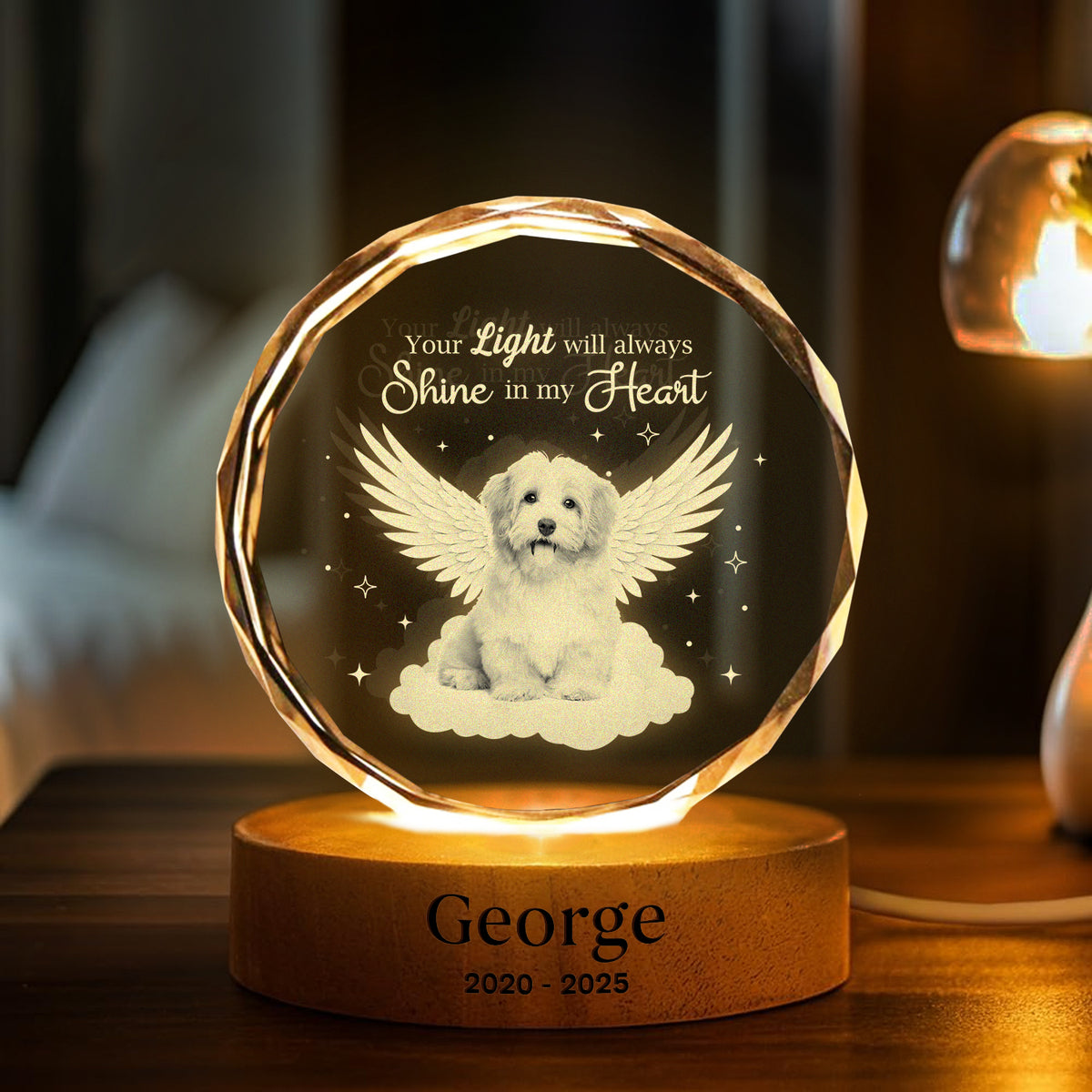 Custom Photo Dog Cat Pet Your Light Will Always Shine In My Heart Memorial Engraved Crystal Photo With Light HA75 898212