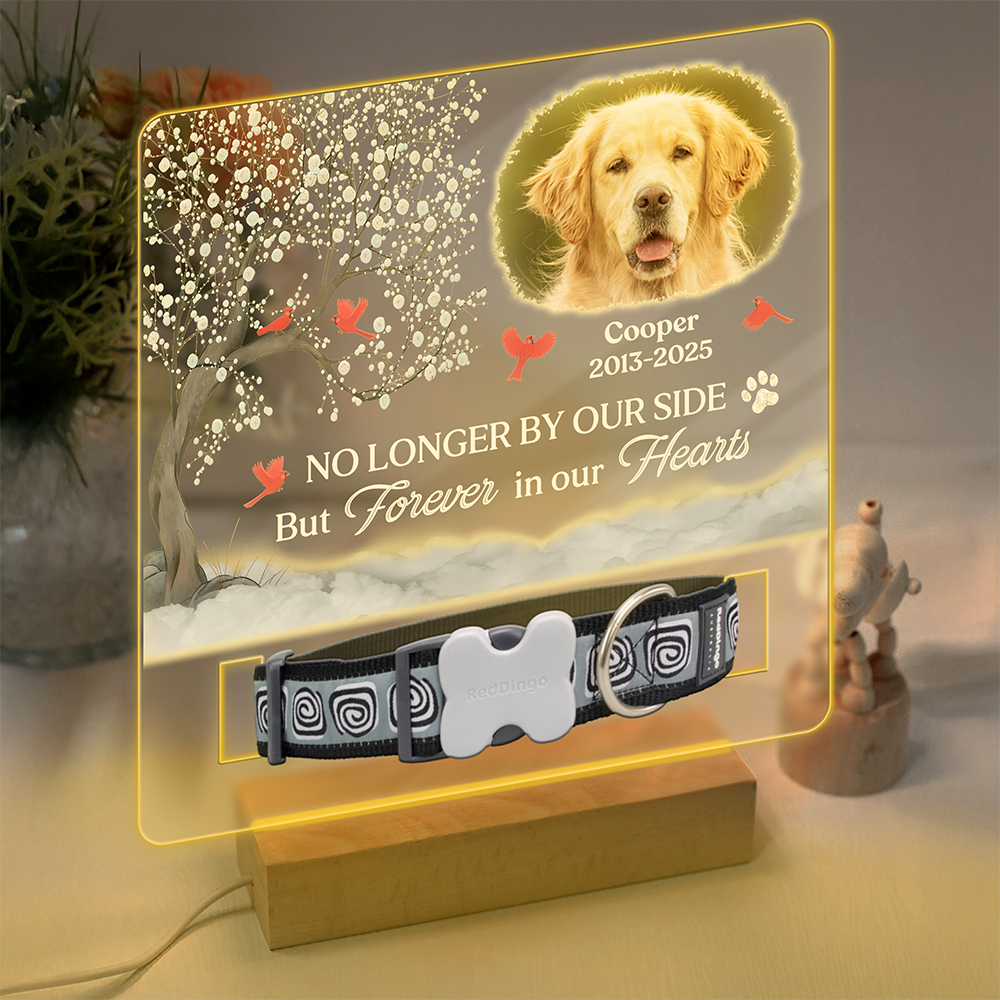 You Were My Favorite Hello And My Hardest Goodbye - Custom Pet Memorial Acrylic Collar Frame CH07 896082
