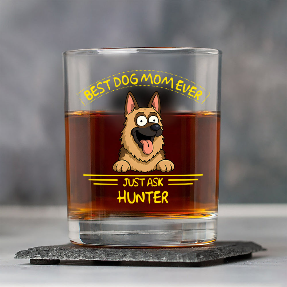 Personalized Best Dog Dad/Mom Ever Print Rock Glass Gift For Dog Lovers HO82 893728