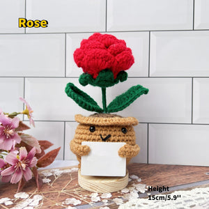 Personalized Gift For Teacher Thank You For Helping Me Grow Crochet Plant LM32 893797