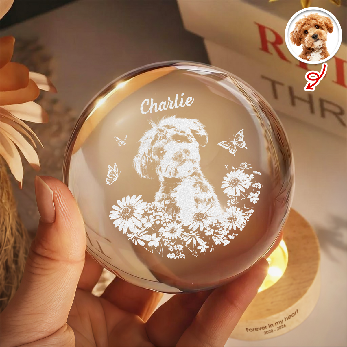 Custom Photo Pet Forever in My Heart Memorial Personalized Engraved Crystal Ball LED Night Light HA75 921884