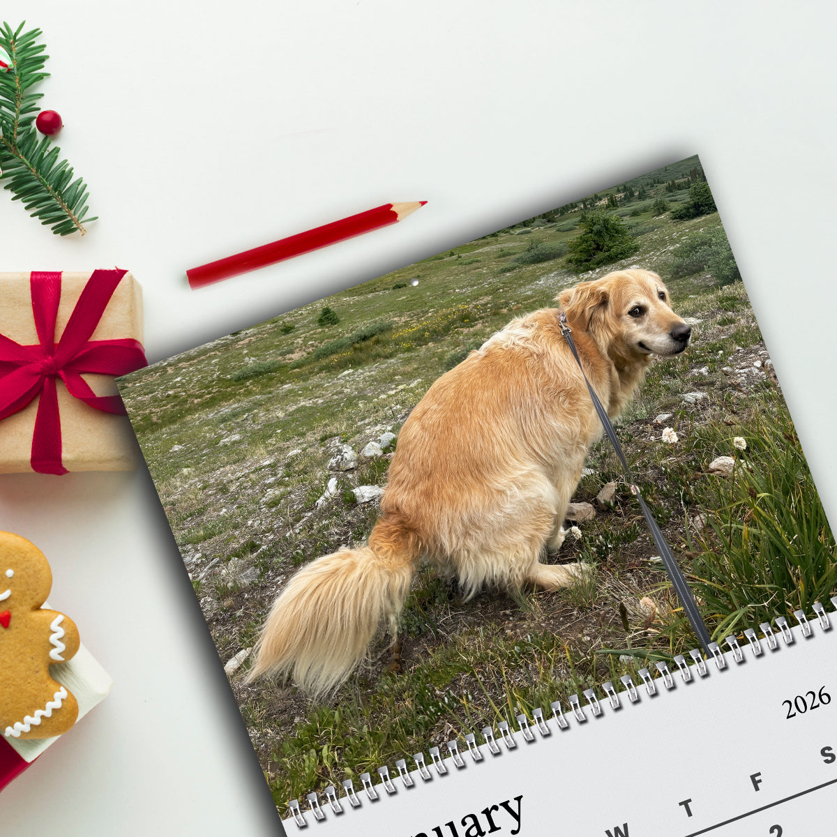 2026 Dogs Pooping In Beautiful Places Calendar TH10 896705
