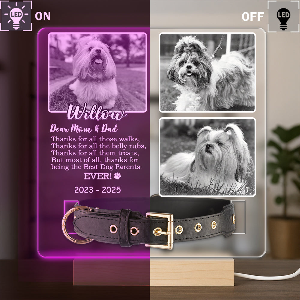 Custom Photo Don't Cry For Me Memorial Acrylic Collar Frame TH10 894109