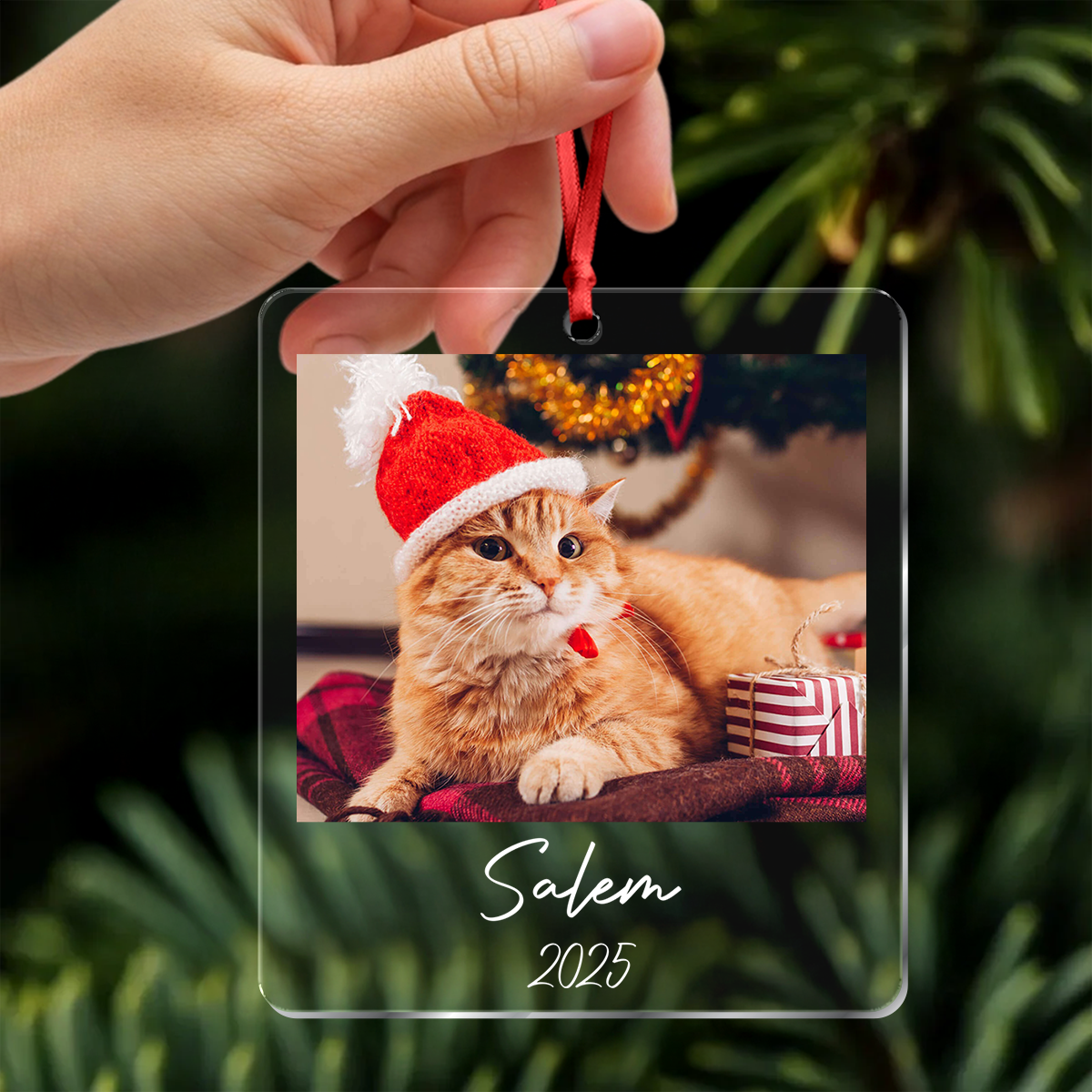 Custom Cat Photo Acrylic Ornament Christmas Gift For Cat Lovers LM32 895771