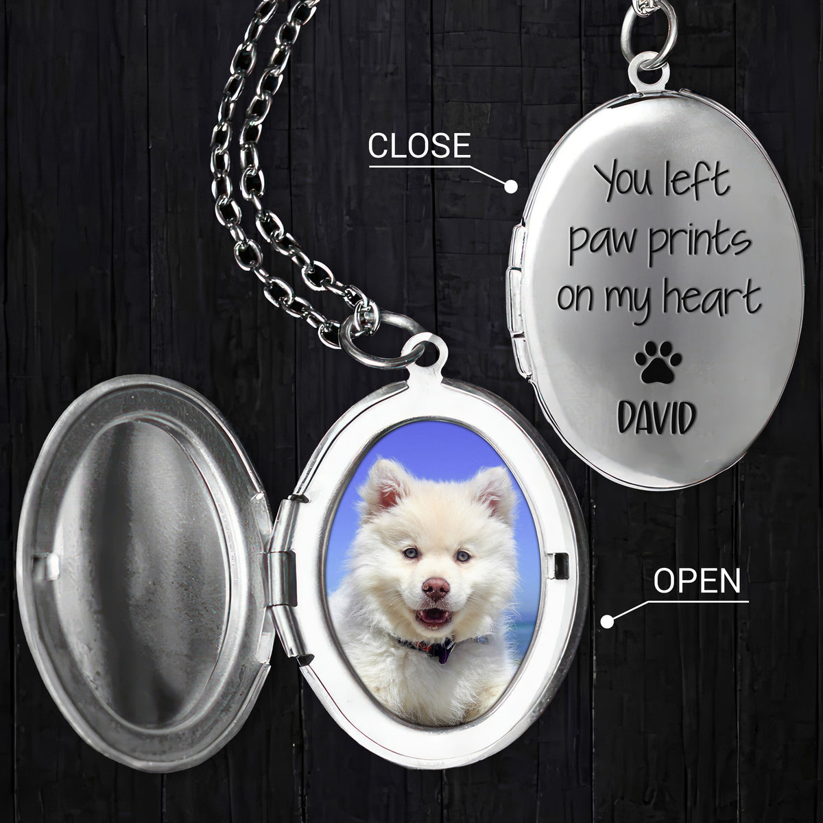 Custom Photo You Left Paw Prints On My Heart Dog Memorial Locket Necklace HO82 893674